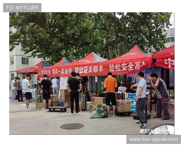 AG恒峰欢迎你:全面解析其最新优惠活动与安全保障措施